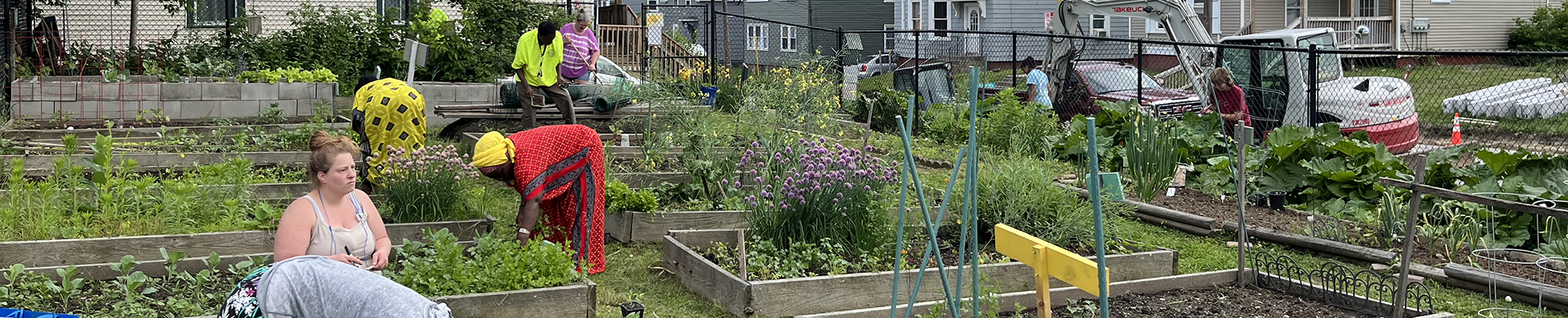CommGardens_HeaderPhoto